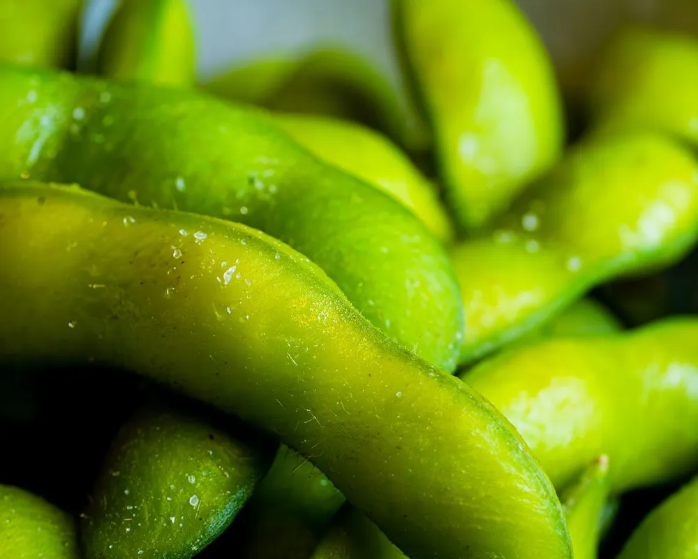 Edamame